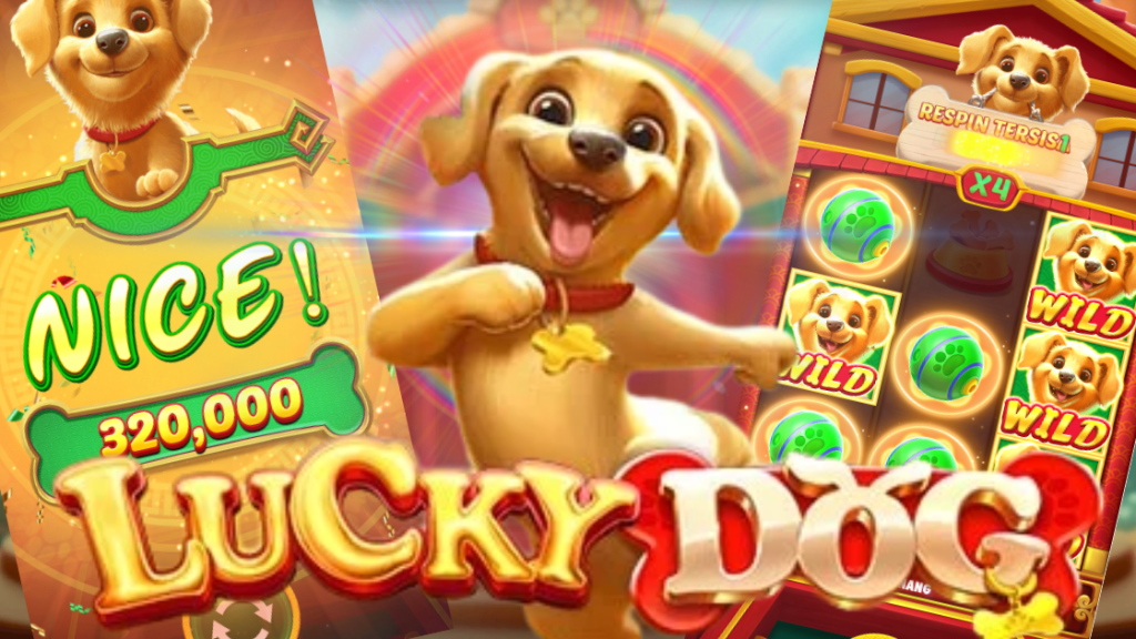 Perhatikan bagaimana cara memicu fitur-fitur seperti Free Spins atau Wilds, karena fitur inilah yang sering memberikan kemenangan besar.